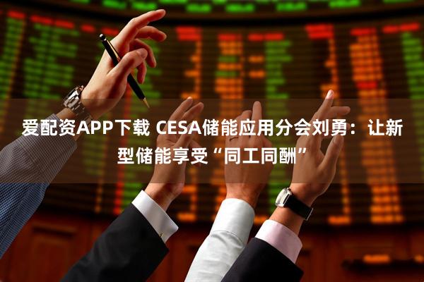 爱配资APP下载 CESA储能应用分会刘勇：让新型储能享受“同工同酬”