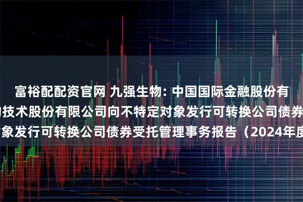 富裕配配资官网 九强生物: 中国国际金融股份有限公司关于北京九强生物技术股份有限公司向不特定对象发行可转换公司债券受托管理事务报告（2024年度）