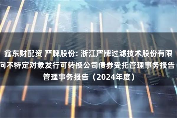 鑫东财配资 严牌股份: 浙江严牌过滤技术股份有限公司2024年向不特定对象发行可转换公司债券受托管理事务报告(2024年度)